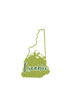 Laconia, New Hampshire Sticker vinyl sticker